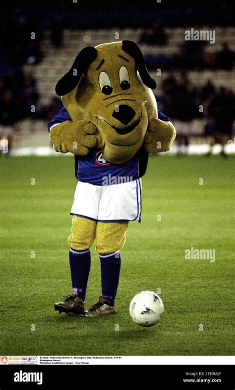 Rotherham united mascot hi-res stock photography and images - Alamy