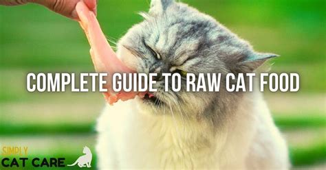 Is Raw Cat Food Good for Cats? The Science Explained