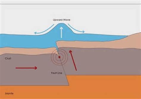 Restless Earth: Formation of a Tsunami Flashcards | Quizlet