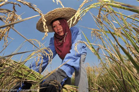 More Access to Agri Credits For Women Farmers: Pangilinan - Official Website of Francis "Kiko ...