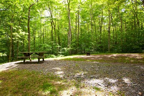 Empty quiet campsite stock image. Image of park, area - 120335173