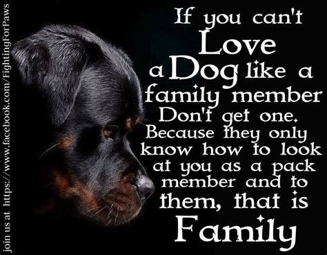 Quotes About Family As Pets. QuotesGram