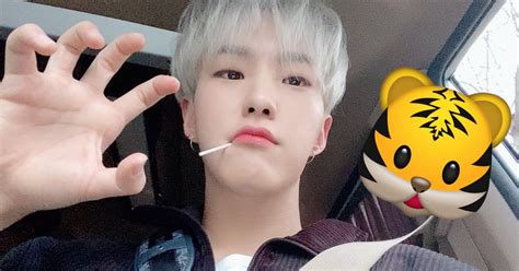 7 Moments That Prove That Hoshi Is The Most Chaotic Member Of SEVENTEEN ...