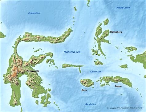 Molucca Sea map - by Freeworldmaps.net