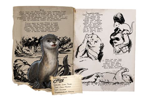 Otter - ARK Official Community Wiki