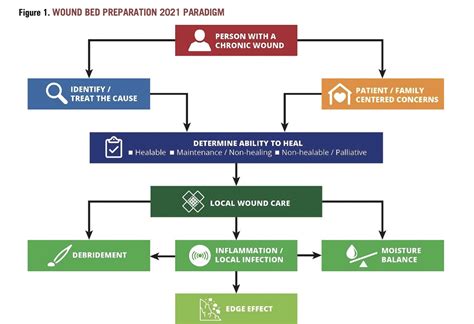 Wound Bed Preparation 2021 @usc_vascular - DF Blog