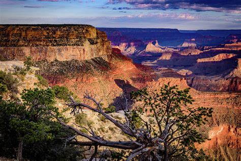 Sunrise Grand Canyon Arizona Photograph by Jon Berghoff - Fine Art America