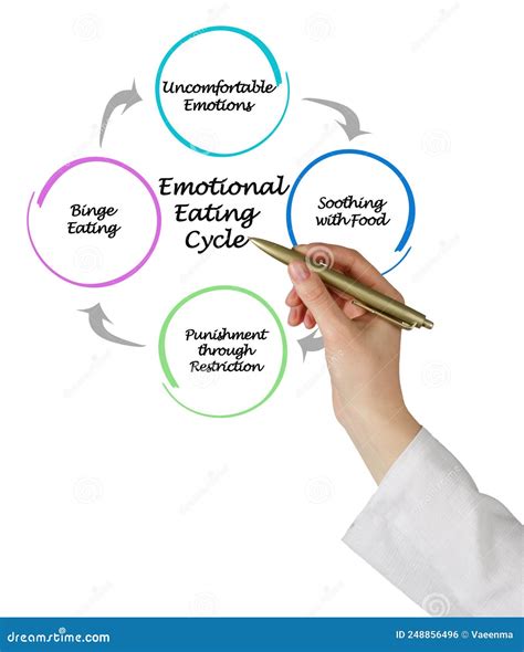 Emotional Eating Cycle stock photo. Image of punishment - 248856496