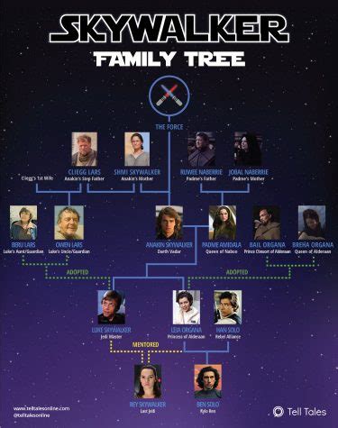 Star Wars - Skywalker Family Tree Explained [Infographic]