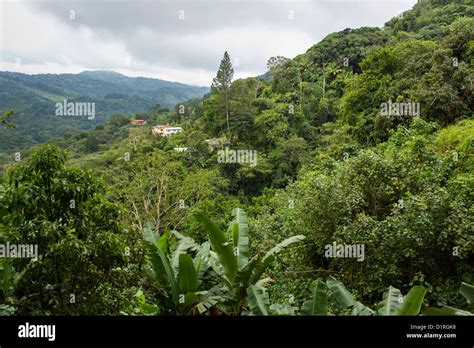 ADJUNTAS, PUERTO RICO - homes in mountains Stock Photo - Alamy