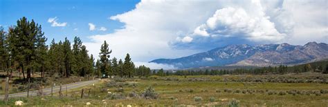 Stone Creek Campground - Mount San Jacinto State Park