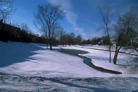 Pei-Chun Lin's Homepage - Gallery - Four Seasons in Ann Arbor - Winter