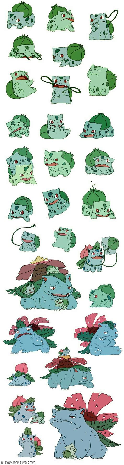 Bulbasaur Evolution - ElsaChristie