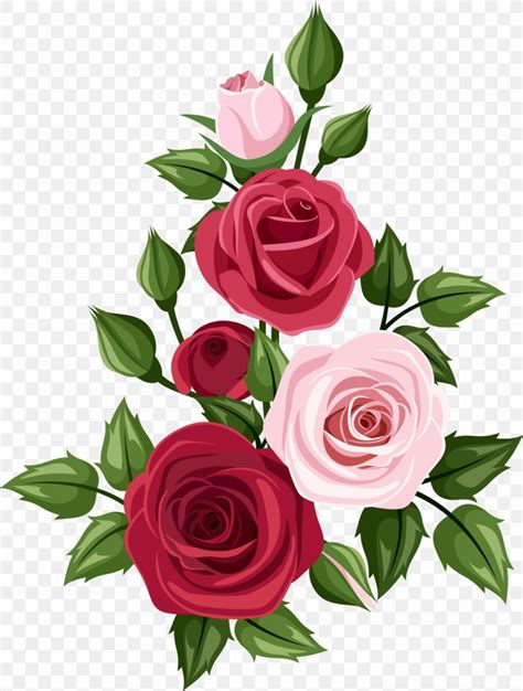 Rose Art Drawing Clip Art, PNG, 1115x1474px, Rose, Art, Cut Flowers, Drawing, Floral Design ...