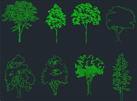 Trees Elevation CAD Blocks – Free CAD Block And AutoCAD Drawing