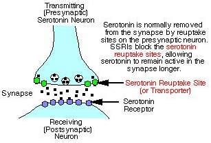 What If My Child Is Prescribed an SSRI? - Clay Center for Young Healthy Minds