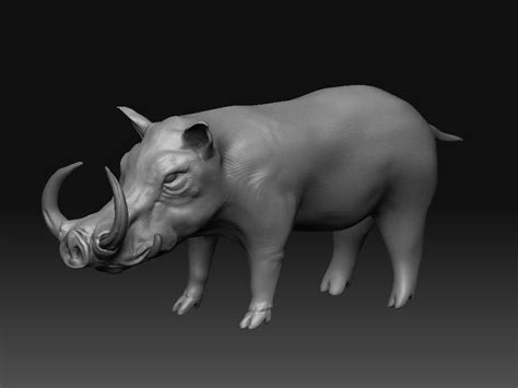 Wart Hog - ZBrushCentral