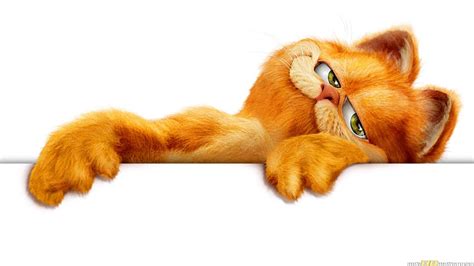 Garfield The Cat Wallpapers - Wallpaper Cave