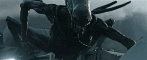 Xenomorph Alien GIF - Xenomorph Alien Covenant - Descubrir y compartir GIFs