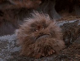 Fizzgig GIFs - Get the best GIF on GIPHY