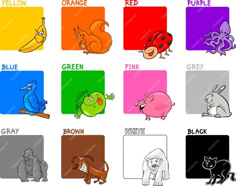 Premium Vector | Primary colors cartoon set