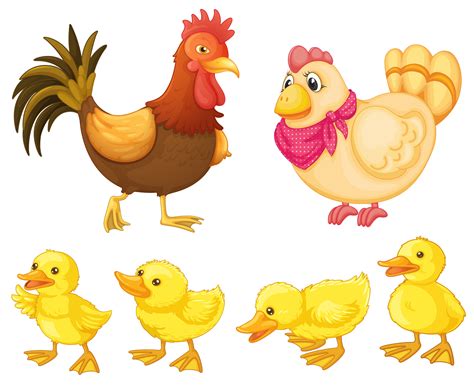 Chicken family 418448 Vector Art at Vecteezy