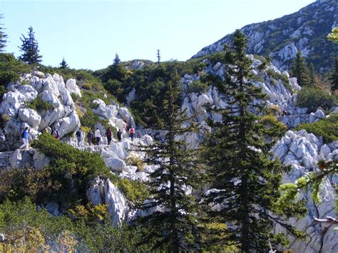 Hiking and Walking Trails – visitsenj.com