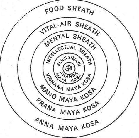 The Five Sheaths of the Human Being : Pancha Kosha