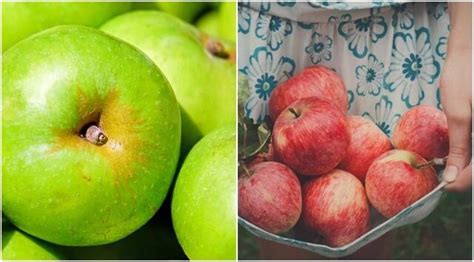 Green vs red apple: Which is healthier? | Health News - The Indian Express