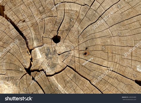 Aspen Wood Texture Images: Browse 7,140 Stock Photos & Vectors Free Download with Trial ...