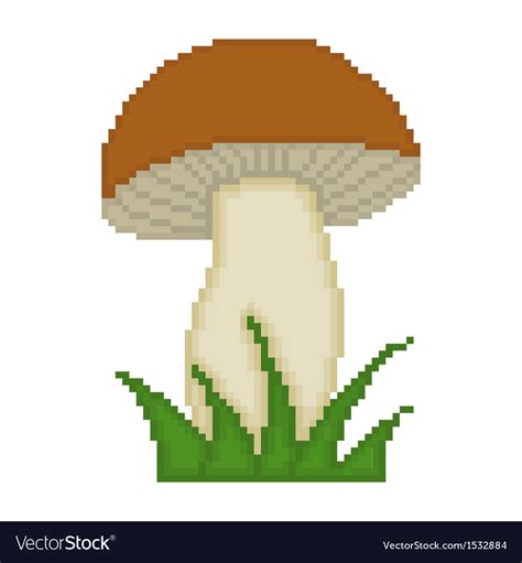 Mushroom isolated on white background Royalty Free Vector