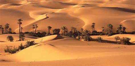 Desert 4K Wallpaper:Amazon.de:Appstore for Android