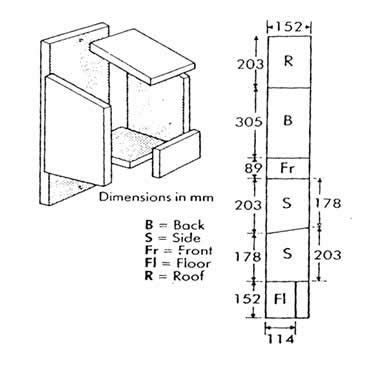 Luxury Robin Bird House Plans - New Home Plans Design