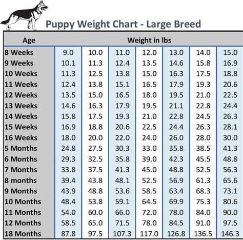 Great Pyrenees Size Chart