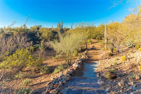 Photo Tour | Cottonwood Tucson | Arizona Recovery Center