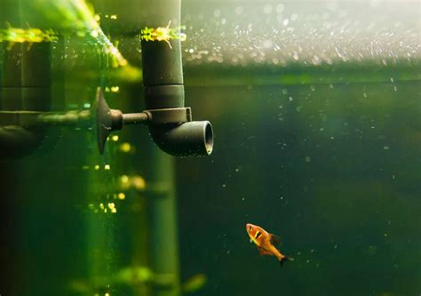 Best Nano Aquarium Filters: The Guide to Nano Tank Filters - Fish Laboratory