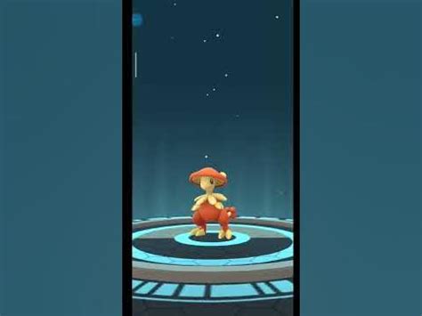 Shiny Shroomish evolution in pokemon go - YouTube