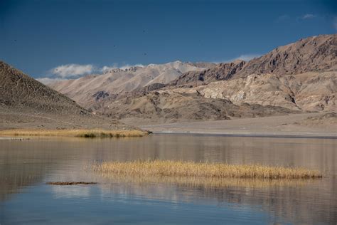 Ngari, Tibet (西藏阿里) 2 | Catabird