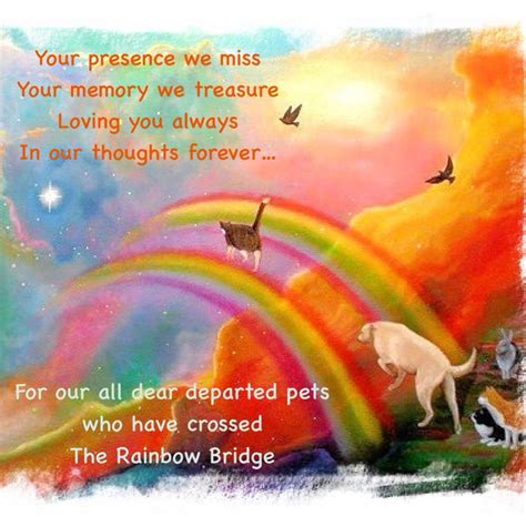 The Rainbow Bridge. Animal Quotes, Dog Quotes, Rainbow Bridge Dog, Pet Loss Grief, Dog Poems ...