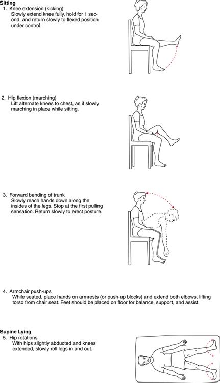 Orthopedic Management of the Hip and Pelvis | Musculoskeletal Key