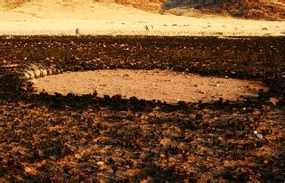 Burned Fairy Circle | On of the Namib's mysterious fairy cir… | Flickr