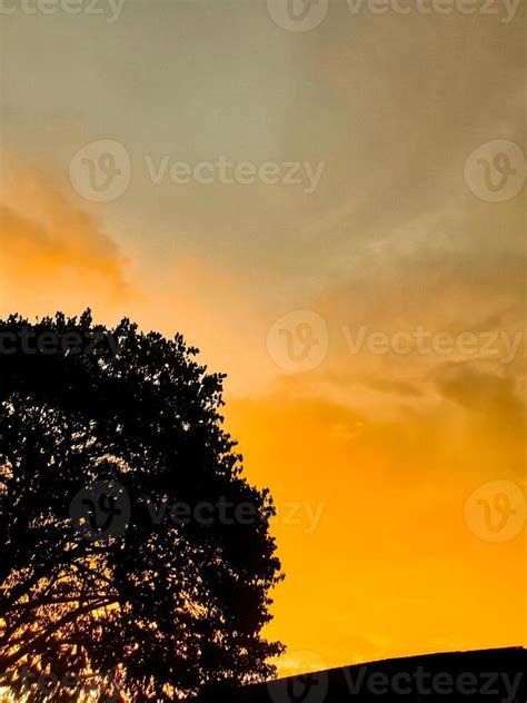 silhouette of tree at sunset 11991978 Stock Photo at Vecteezy