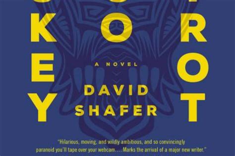 Fiction review: ‘Whiskey Tango Foxtrot,’ by David Shafer