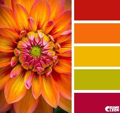 Color Inspiration Color Palette Color Schemes Colour Palettes, Colour Pallette, Color Palate ...