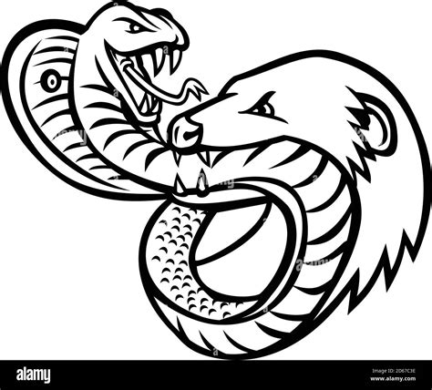 Snake and mongoose Stock Vector Images - Alamy