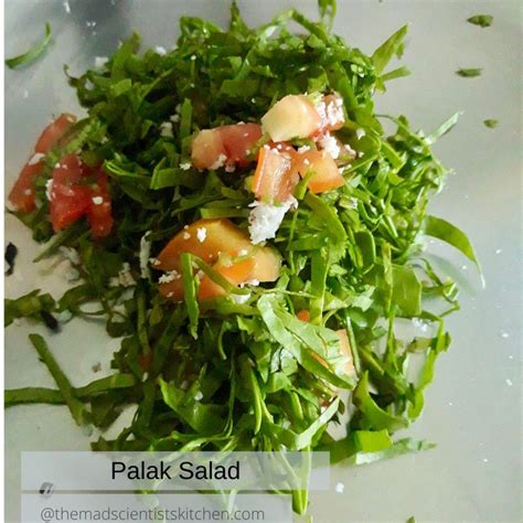 Palak Salad | The Mad Scientists Kitchen