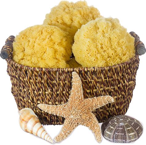 Caribbean Grass Exfoliating Bath Sponges