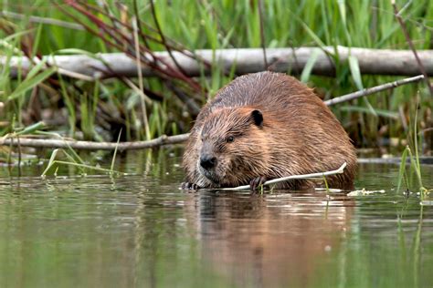 weather in beaver ok Beaver ok averages