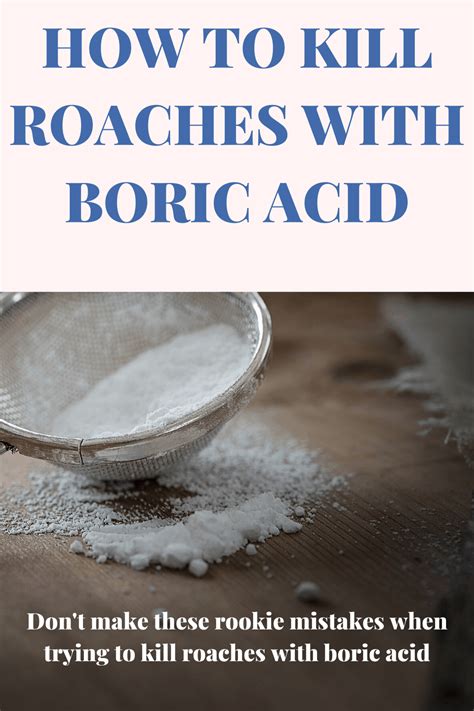 How Does Boric Acid Kill Roaches? (Does It Work, Is It Effective?)