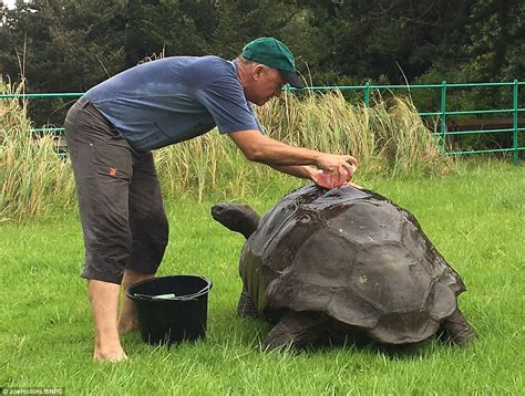 World's oldest tortoise, Jonathan, enjoys his first ever bath | Daily Mail Online